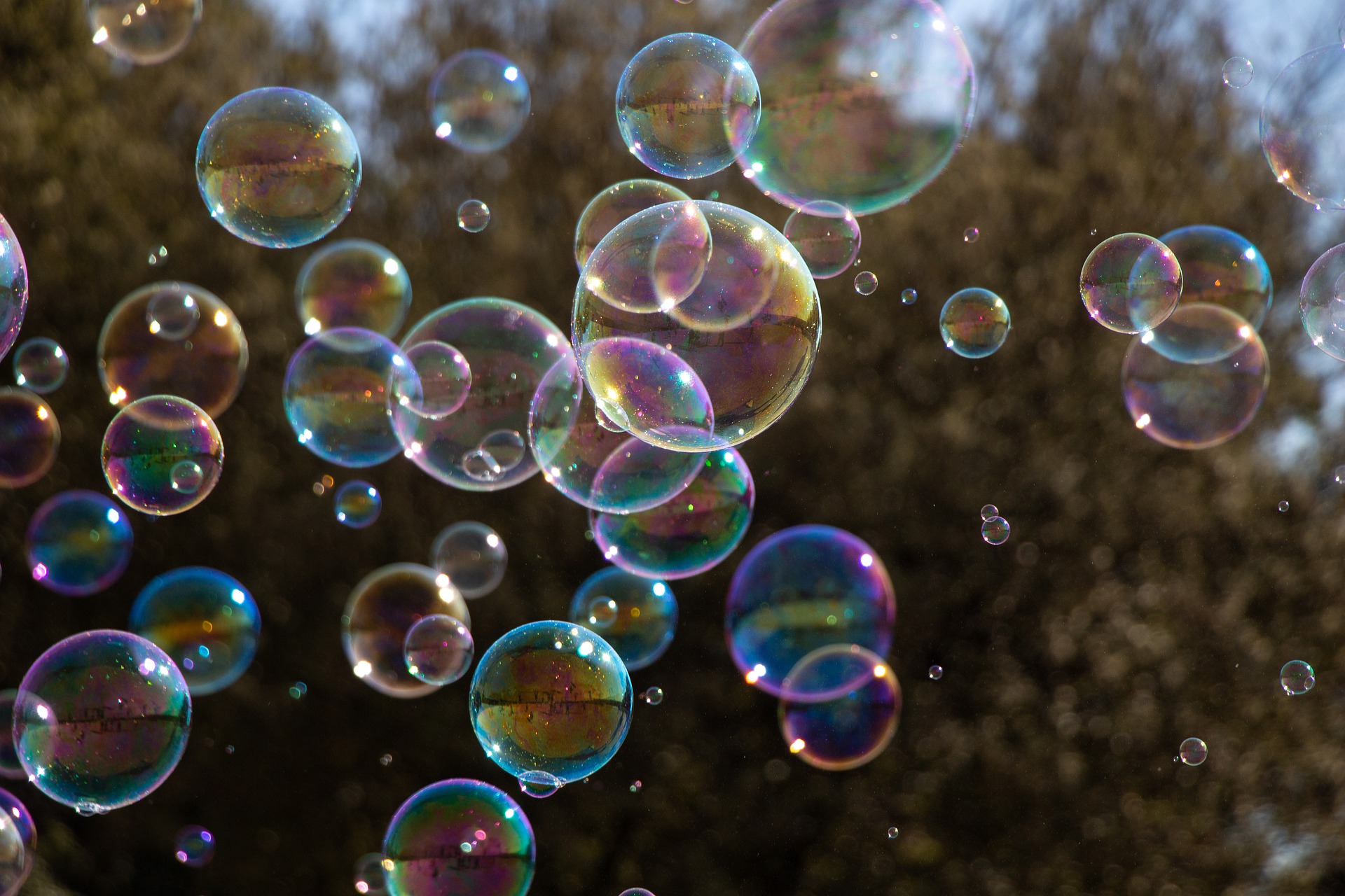 Bild på såpbubblor som flyger i luften